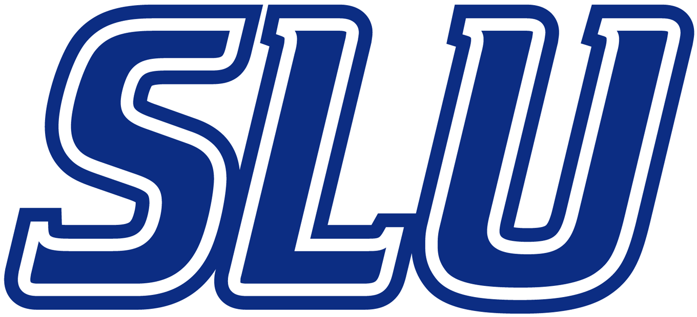 Saint Louis Billikens 2002-Pres Wordmark Logo v2 DIY iron on transfer (heat transfer)